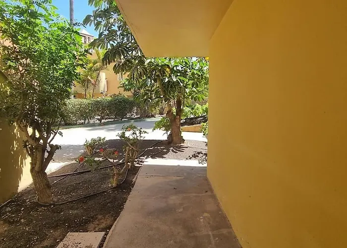 Atlantic Garden Charli